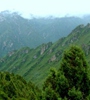 青海省對(duì)天然林保護(hù)工程進(jìn)行績效評(píng)價(jià)，對(duì)2018年度森林管護(hù)工作進(jìn)行了巡回監(jiān)理，實(shí)現(xiàn)績效評(píng)價(jià)和監(jiān)理工作的全覆蓋。