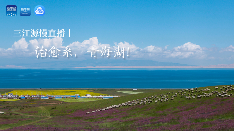 三江源慢直播丨治愈系，青海湖！